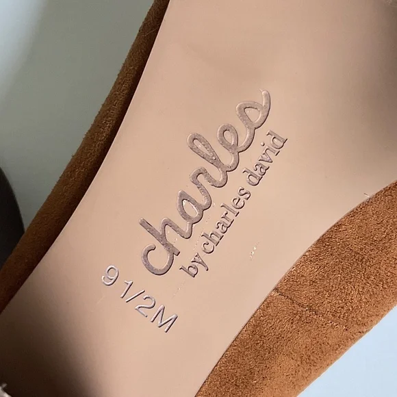 CHARLES by CHARLES DAVID Vasto Pointed Toe Heels Rust/Brown Size 9.5 EUC - Picture 5 of 8